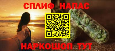 прущие грибы Ярославль