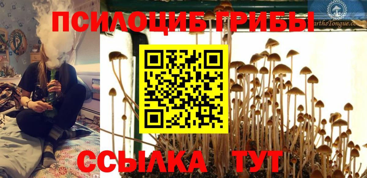 хочу   Галлюциногенные грибы Magic Shrooms  Вход с VPN  Великие Луки  Псилоцибиновые грибы прущие грибы 